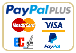 Zahlung PayPal Plus
